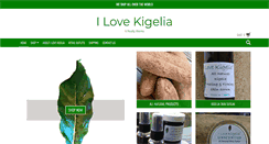 Desktop Screenshot of ilovekigelia.com